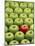 Single Red Apple Among a Number of Green Apples-John Miller-Mounted Photographic Print