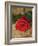 Single Red Rose on Stone Floor-Clive Nichols-Framed Photographic Print