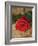 Single Red Rose on Stone Floor-Clive Nichols-Framed Photographic Print