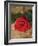 Single Red Rose on Stone Floor-Clive Nichols-Framed Photographic Print