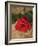 Single Red Rose on Stone Floor-Clive Nichols-Framed Photographic Print