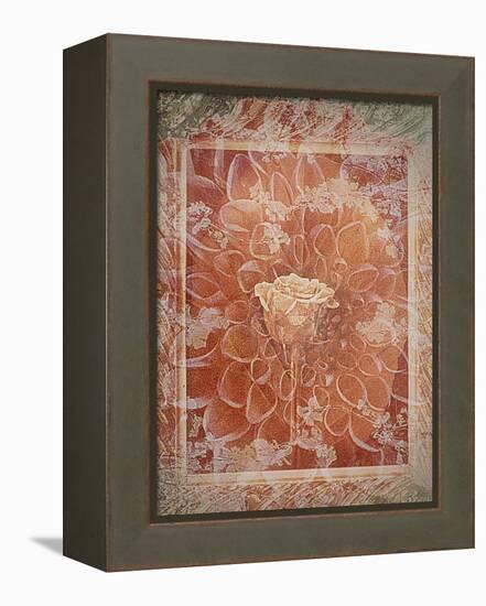 Single Rose in Earthy Colors Vintage Style in Frame, Photographic Layer Work-Alaya Gadeh-Framed Premier Image Canvas