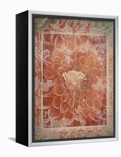 Single Rose in Earthy Colors Vintage Style in Frame, Photographic Layer Work-Alaya Gadeh-Framed Premier Image Canvas