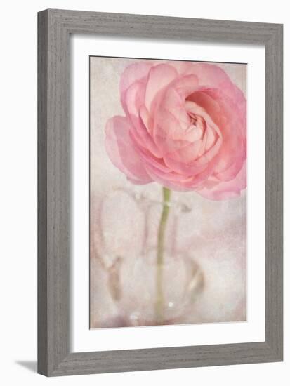 Single Rose Pink Flower-Cora Niele-Framed Photographic Print