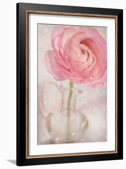 Single Rose Pink Flower-Cora Niele-Framed Photographic Print