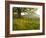 Single Tree at Sunrise, Cades Cove, Great Smoky Mountains National Park, Tennessee, Usa-Adam Jones-Framed Photographic Print