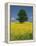 Single Tree in a Field of Oil Seed Rape in Flower Near Pontivy in Brittany, France, Europe-Michael Busselle-Framed Premier Image Canvas