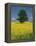 Single Tree in a Field of Oil Seed Rape in Flower Near Pontivy in Brittany, France, Europe-Michael Busselle-Framed Premier Image Canvas