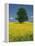 Single Tree in a Field of Oil Seed Rape in Flower Near Pontivy in Brittany, France, Europe-Michael Busselle-Framed Premier Image Canvas