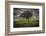 Single tree in the luscious green Flint Hills of Kansas-Michael Scheufler-Framed Photographic Print