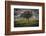 Single tree in the luscious green Flint Hills of Kansas-Michael Scheufler-Framed Photographic Print