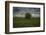 Single tree in the lush brush in the Flint Hills of Kansas-Michael Scheufler-Framed Photographic Print