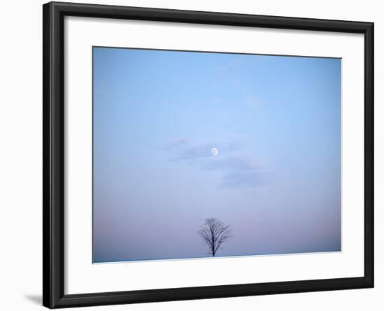 Single Tree in Winter Landscape Evening Moon-null-Framed Photographic Print