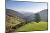 Single tree on hill, Wiedener Eck, Black Forest, Baden-Wurttemberg, Germany-Markus Lange-Mounted Photographic Print