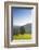 Single tree on hill, Wiedener Eck, Black Forest, Baden-Wurttemberg, Germany-Markus Lange-Framed Photographic Print