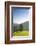 Single tree on hill, Wiedener Eck, Black Forest, Baden-Wurttemberg, Germany-Markus Lange-Framed Photographic Print