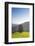 Single tree on hill, Wiedener Eck, Black Forest, Baden-Wurttemberg, Germany-Markus Lange-Framed Photographic Print