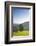 Single tree on hill, Wiedener Eck, Black Forest, Baden-Wurttemberg, Germany-Markus Lange-Framed Photographic Print