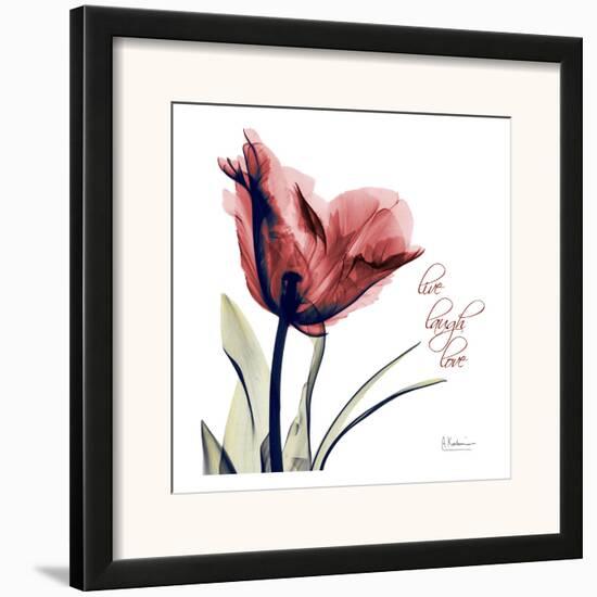 Single Tulip Live Laugh-Albert Koetsier-Framed Art Print