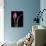 Single Tulip Stem, Maplethorpe Style, Rochester, Michigan, USA-Claudia Adams-Photographic Print displayed on a wall