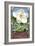 Single White Magnolia - Atlanta, Georgia-Lantern Press-Framed Art Print