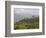 Singtom Tea Garden, Snowy and Cloudy Kandchengzonga Peak in Background, Darjeeling, Himalayas-Eitan Simanor-Framed Photographic Print