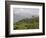 Singtom Tea Garden, Snowy and Cloudy Kandchengzonga Peak in Background, Darjeeling, Himalayas-Eitan Simanor-Framed Photographic Print