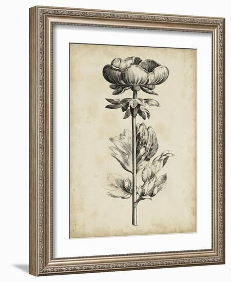 Singular Beauty III-null-Framed Art Print