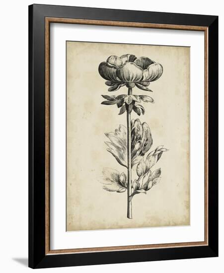 Singular Beauty III-null-Framed Art Print