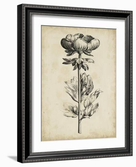 Singular Beauty III-null-Framed Art Print