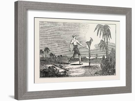 Singular Dexterity of a Goat-null-Framed Giclee Print