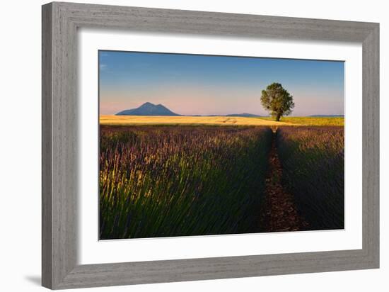 Singularity-Izidor Gasperlin-Framed Photographic Print