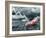 Sinking Euro Ship. Crisis Concept-egal-Framed Photographic Print