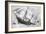 Sinking of the "Alabama", 19 June 1864, Engraved by Schultz-Julian Oliver Davidson-Framed Giclee Print