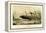 Sinking of the Steamship Oregon of the Cunard Line, Pub. C.1886-null-Framed Premier Image Canvas