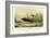 Sinking of the Steamship Oregon of the Cunard Line, Pub. C.1886-null-Framed Giclee Print