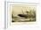 Sinking of the Steamship Oregon of the Cunard Line, Pub. C.1886-null-Framed Giclee Print