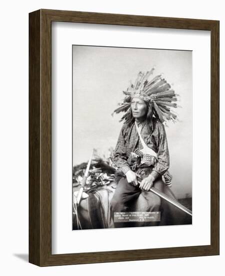 Sioux Leader, 1891-John C.H. Grabill-Framed Photographic Print