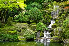 Waterfall-sipaphoto-Framed Premier Image Canvas