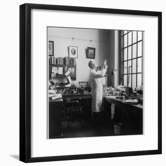 Sir Alexander Fleming - Scottish Bacteriologist at Work in His Laboratory-null-Framed Photographic Print
