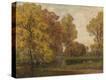 Stretched Canvas Print