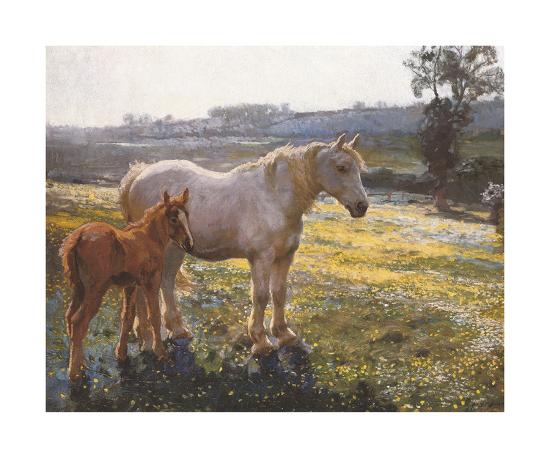 Premium Giclee Print, , large