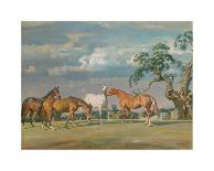 Stanley Barker and the Pytchley Hounds-Sir Alfred Munnings-Framed Premium Giclee Print