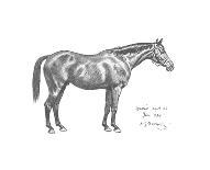 Changing Horses-Sir Alfred Munnings-Premium Giclee Print