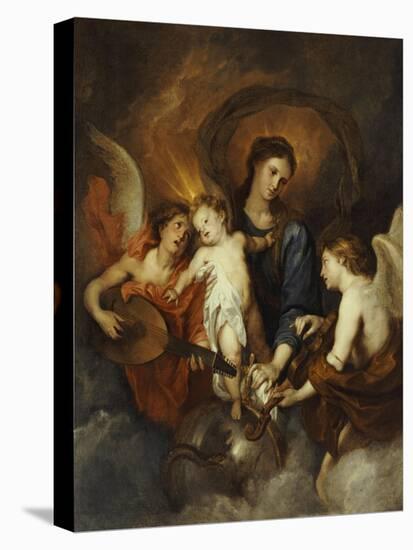 Stretched Canvas Print, , large