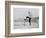 Sir Arthur Conan Doyle Demonstrating a Novice Turning Whilst Skiing in the Alps-null-Framed Photographic Print