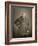 Sir Arthur Sullivan, Composer, Portrait Photograph-Stanislaus Walery-Framed Giclee Print