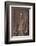 'Sir Christopher Teesdale', c1891-W&D Downey-Framed Photographic Print