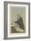 Sir Edward George Clarke-Sir Leslie Ward-Framed Giclee Print