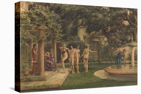 Stretched Canvas Print, , large